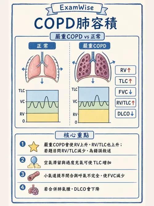 呼吸治療師 - 慢性氣道疾病 - AI 圖文解析預覽