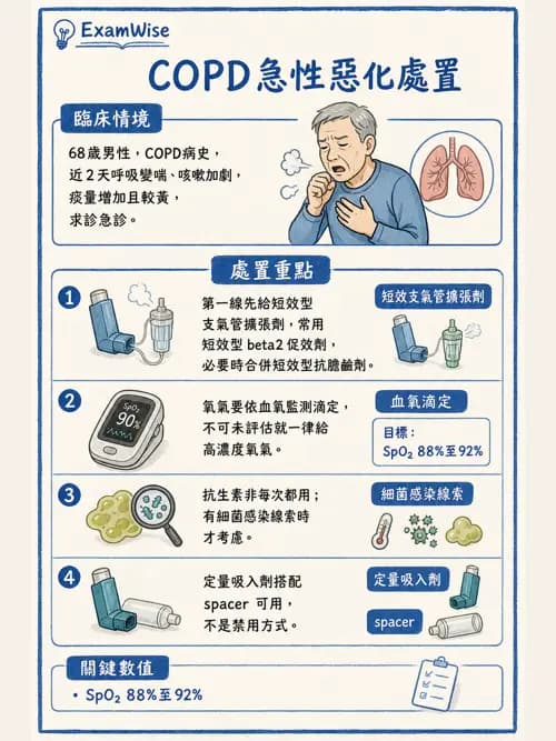 呼吸治療師 - 慢性氣道疾病 - AI 圖文解析預覽