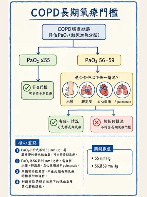 呼吸治療師 - 慢性氣道疾病 - AI 圖文解析預覽