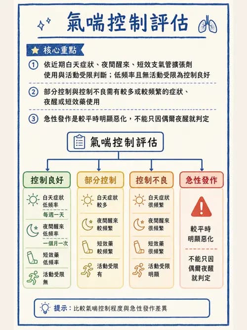 呼吸治療師 - 慢性氣道疾病 - AI 圖文解析預覽