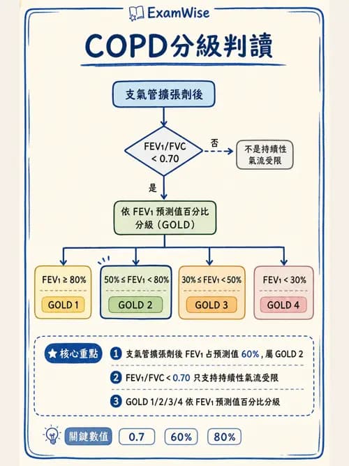 呼吸治療師 - 慢性氣道疾病 - AI 圖文解析預覽