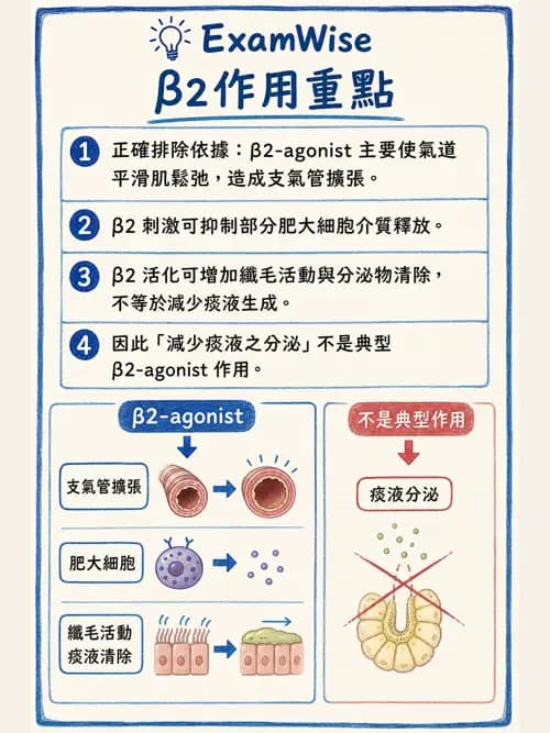 呼吸治療師 - 慢性氣道疾病 - AI 圖文解析預覽