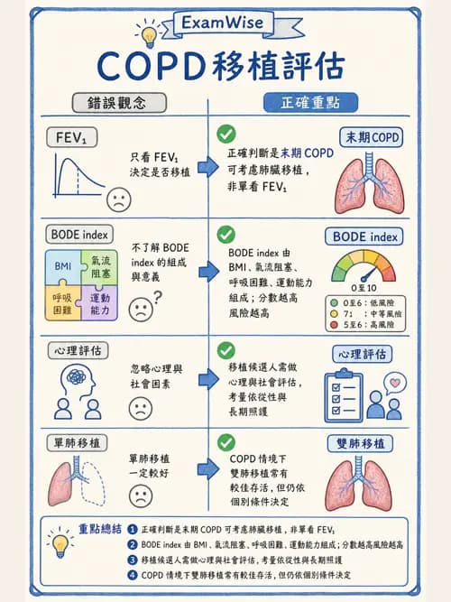 呼吸治療師 - 慢性氣道疾病 - AI 圖文解析預覽