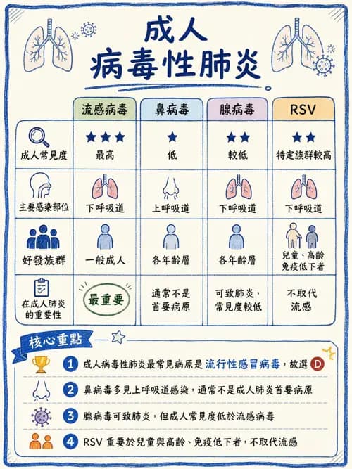呼吸治療師 - 感染性肺疾 - AI 圖文解析預覽