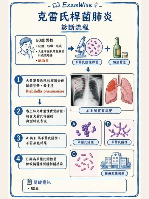 呼吸治療師 - 感染性肺疾 - AI 圖文解析預覽