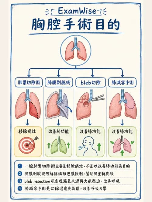 呼吸治療師 - 外力傷害與胸廓病變 - AI 圖文解析預覽