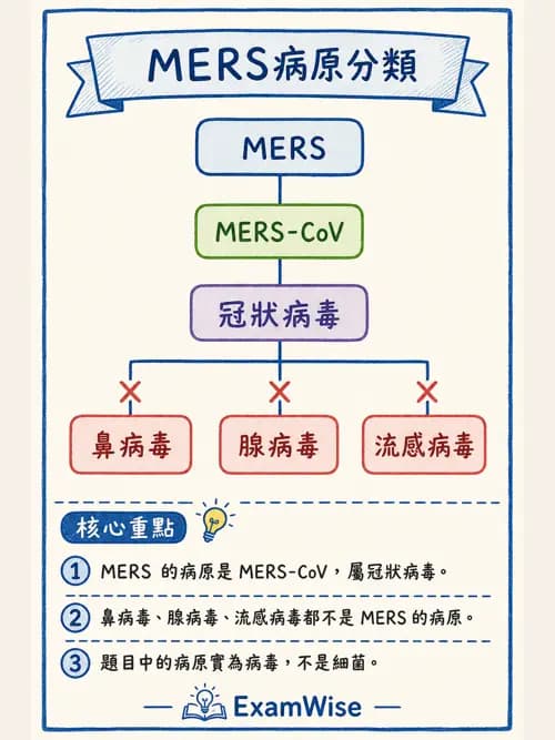 呼吸治療師 - 感染性肺疾 - AI 圖文解析預覽