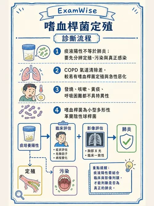呼吸治療師 - 感染性肺疾 - AI 圖文解析預覽