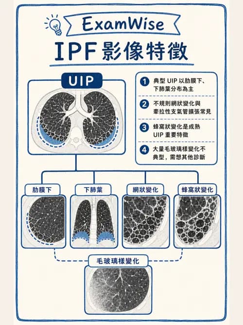 呼吸治療師 - 肺間質病變 - AI 圖文解析預覽