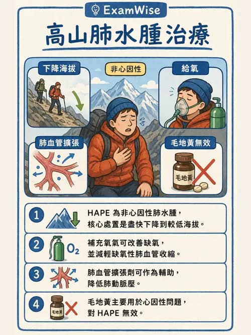 呼吸治療師 - 外力傷害與胸廓病變 - AI 圖文解析預覽