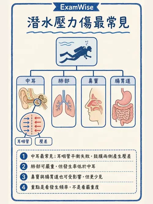呼吸治療師 - 外力傷害與胸廓病變 - AI 圖文解析預覽