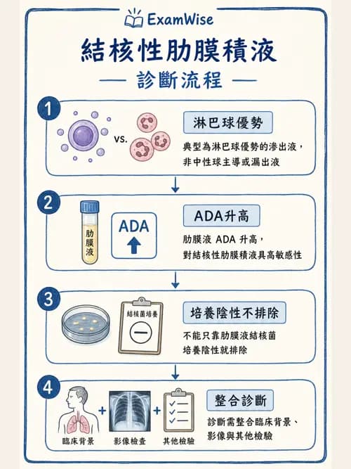 呼吸治療師 - 外力傷害與胸廓病變 - AI 圖文解析預覽