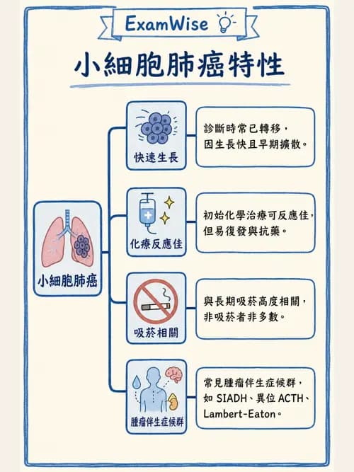 呼吸治療師 - 神經肌肉病變與腫瘤 - AI 圖文解析預覽