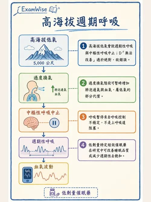呼吸治療師 - 睡眠相關呼吸障礙 - AI 圖文解析預覽