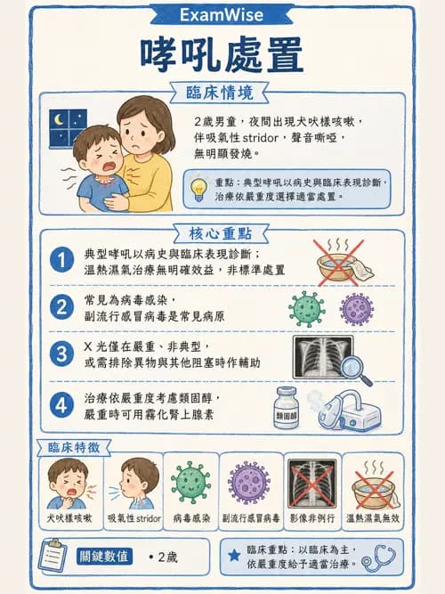 呼吸治療師 - 兒童呼吸系統疾病 - AI 圖文解析預覽