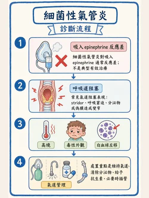 呼吸治療師 - 兒童呼吸系統疾病 - AI 圖文解析預覽
