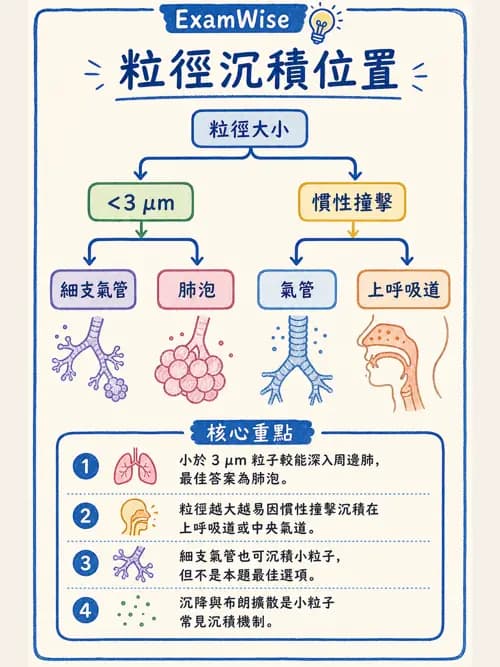 呼吸治療師 - 病人評估與衛教 - AI 圖文解析預覽