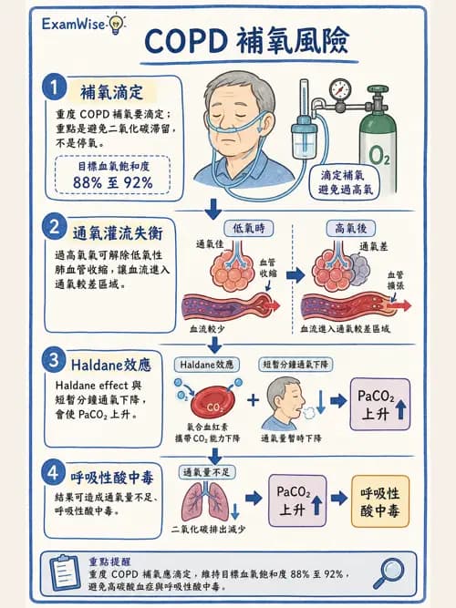 呼吸治療師 - 慢性氣道疾病 - AI 圖文解析預覽