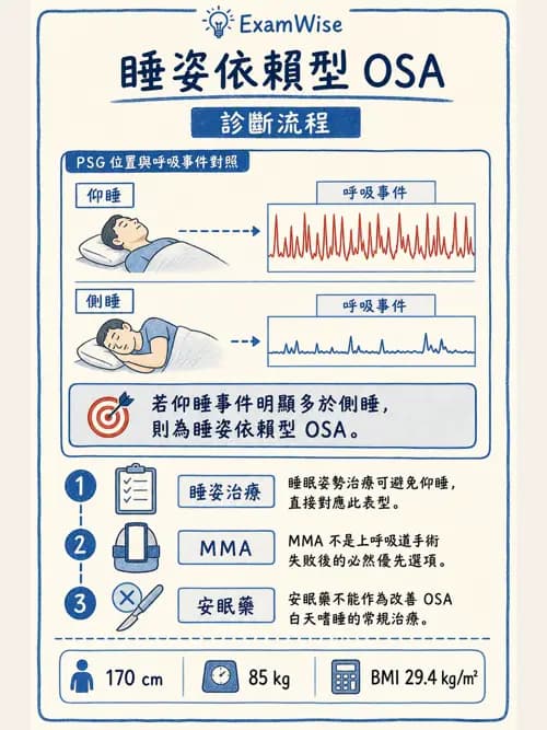 呼吸治療師 - 睡眠相關呼吸障礙 - AI 圖文解析預覽