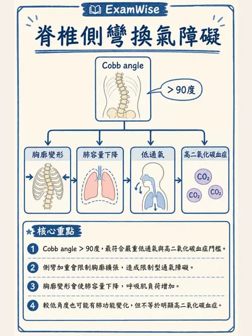 呼吸治療師 - 外力傷害與胸廓病變 - AI 圖文解析預覽