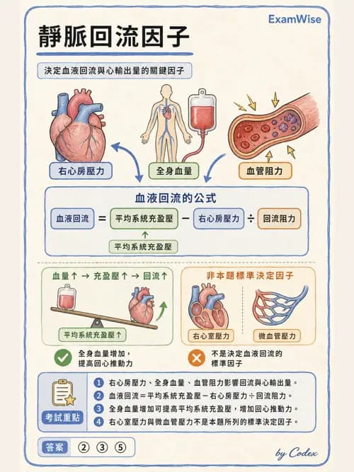 呼吸治療師 - 心臟生理與血液動力學 - AI 圖文解析預覽