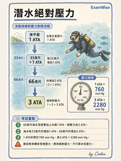 呼吸治療師 - 運動與環境生理 - AI 圖文解析預覽