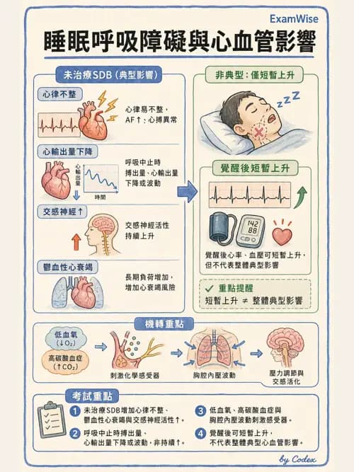 呼吸治療師 - 心臟生理與血液動力學 - AI 圖文解析預覽