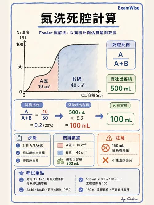 呼吸治療師 - 通氣、呼吸力學與控制 - AI 圖文解析預覽