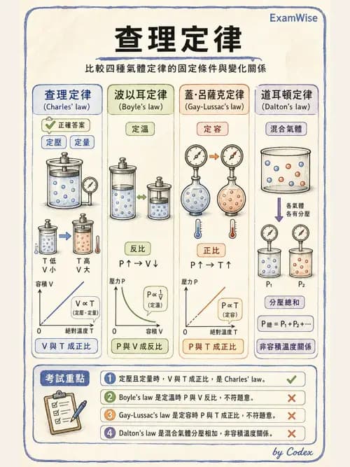 呼吸治療師 - 通氣、呼吸力學與控制 - AI 圖文解析預覽