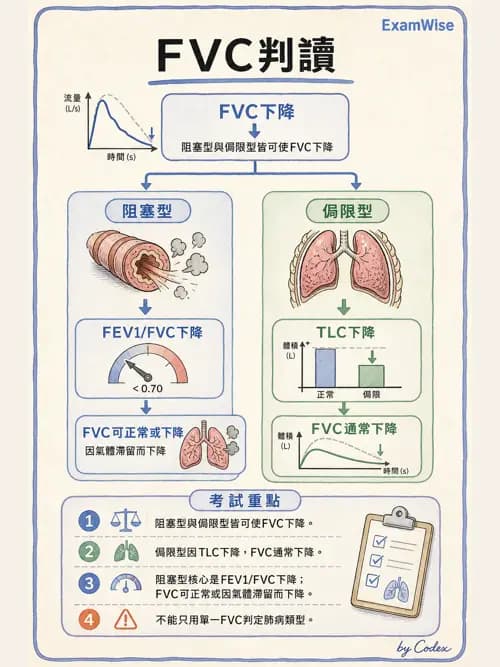 呼吸治療師 - 通氣、呼吸力學與控制 - AI 圖文解析預覽