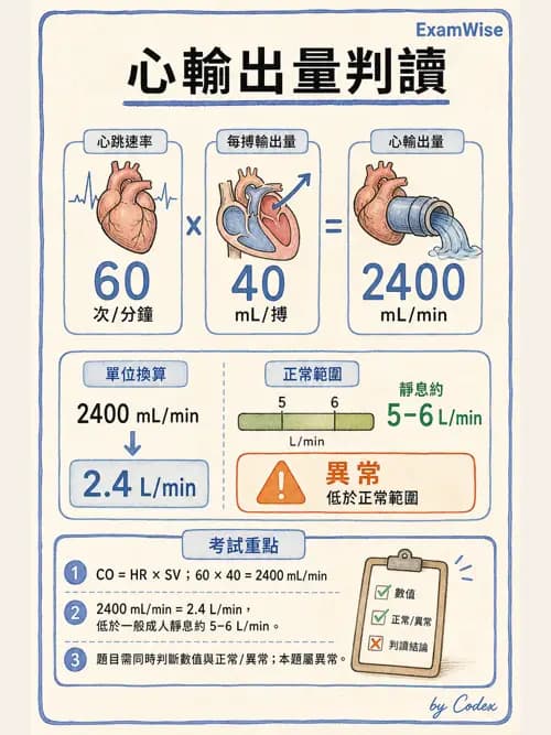 呼吸治療師 - 心臟生理與血液動力學 - AI 圖文解析預覽
