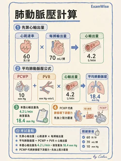 呼吸治療師 - 心臟生理與血液動力學 - AI 圖文解析預覽