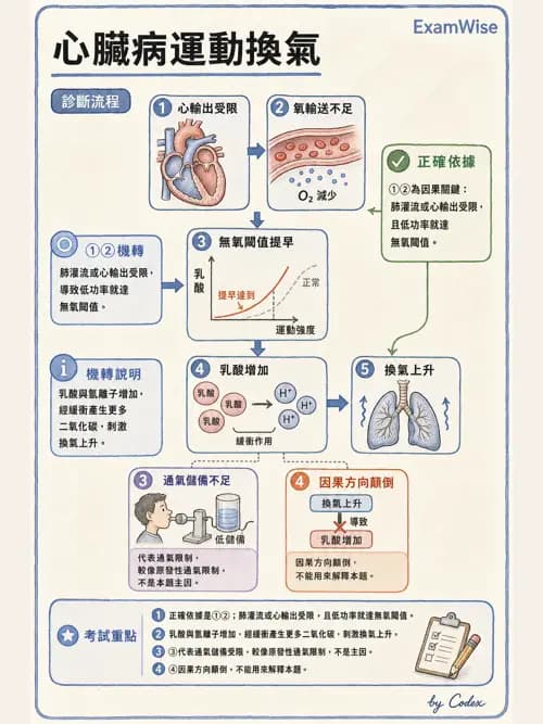 呼吸治療師 - 運動與環境生理 - AI 圖文解析預覽