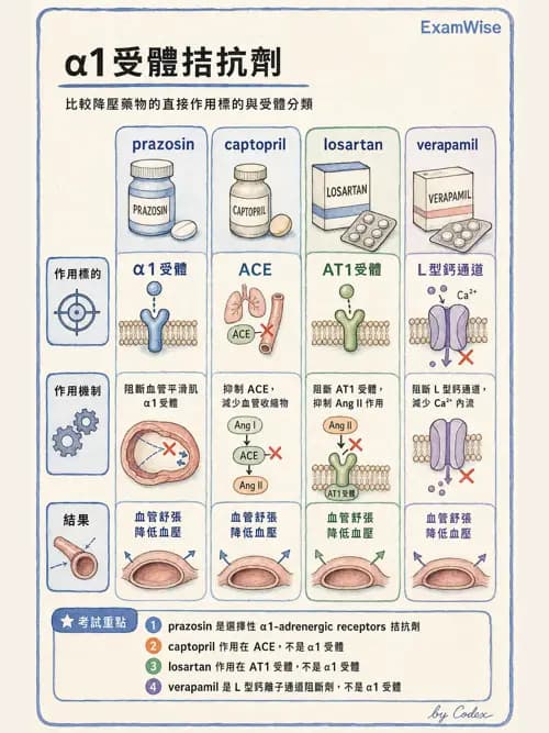 呼吸治療師 - 心臟血管藥物 - AI 圖文解析預覽