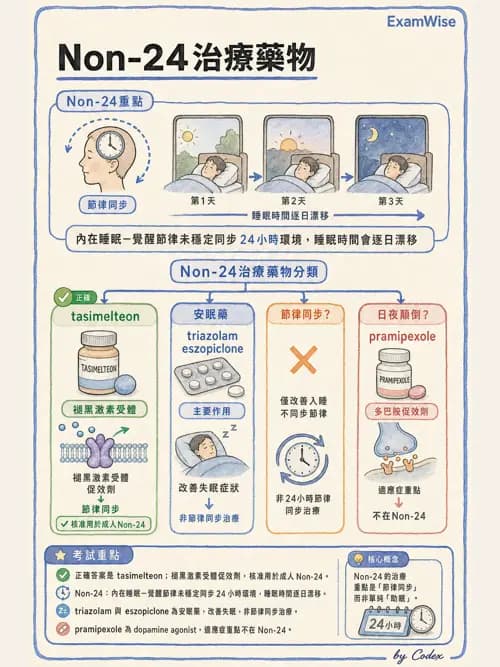 呼吸治療師 - 神經系統藥物 - AI 圖文解析預覽