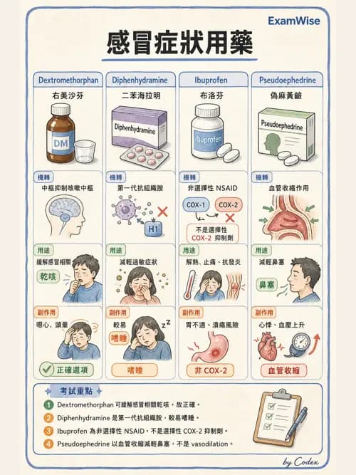 呼吸治療師 - 呼吸系統藥物 - AI 圖文解析預覽