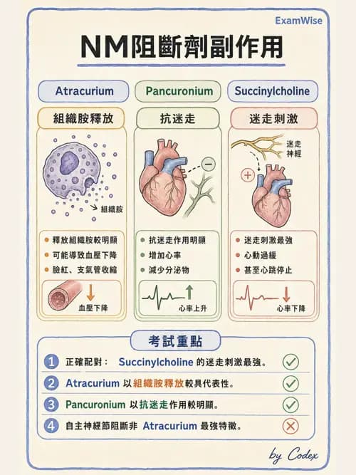 呼吸治療師 - 神經系統藥物 - AI 圖文解析預覽