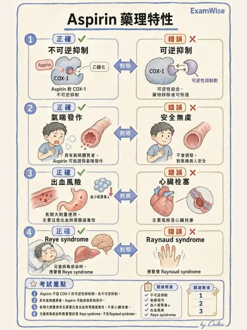 呼吸治療師 - 藥理學概論與抗感染藥物 - AI 圖文解析預覽