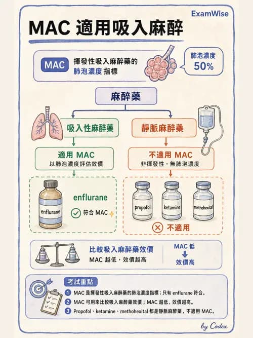 呼吸治療師 - 神經系統藥物 - AI 圖文解析預覽