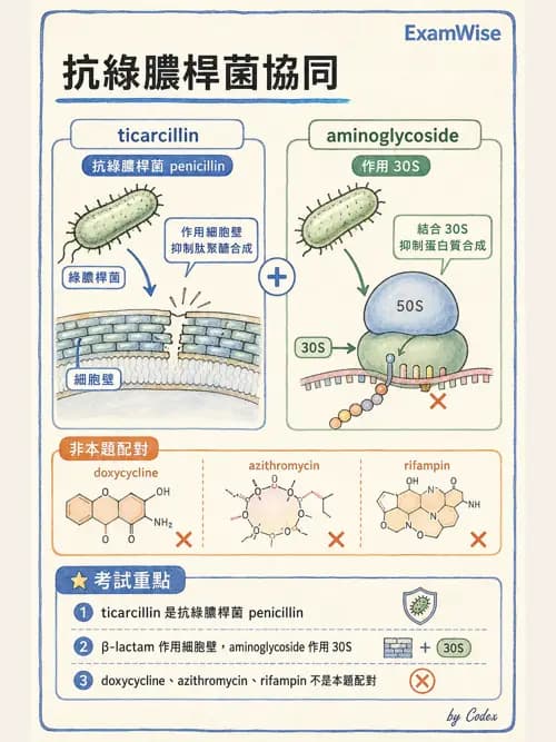 呼吸治療師 - 藥理學概論與抗感染藥物 - AI 圖文解析預覽