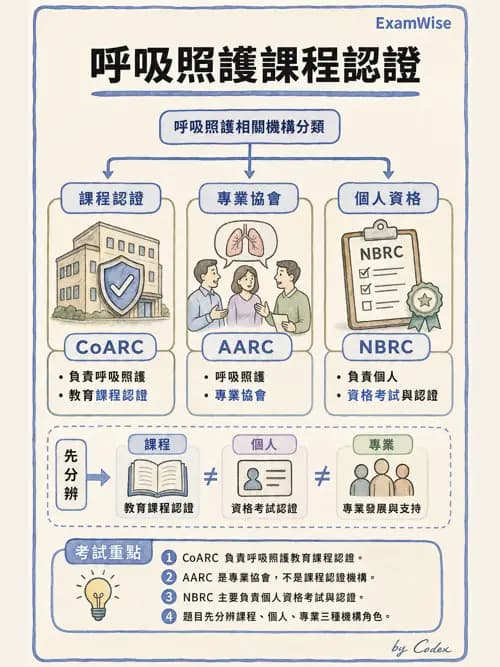 呼吸治療師 - 呼吸治療演進與角色 - AI 圖文解析預覽