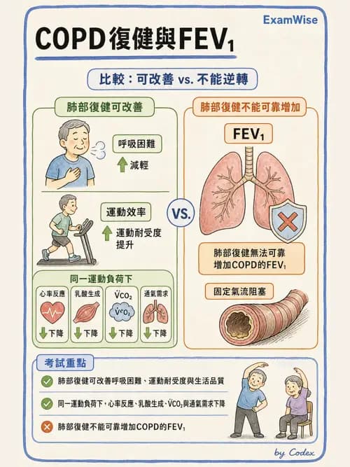 呼吸治療師 - 呼吸功能檢查 - AI 圖文解析預覽