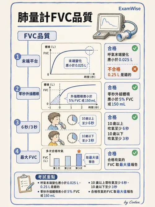 呼吸治療師 - 呼吸功能檢查 - AI 圖文解析預覽