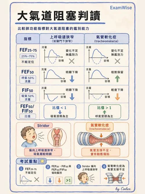 呼吸治療師 - 呼吸功能檢查 - AI 圖文解析預覽