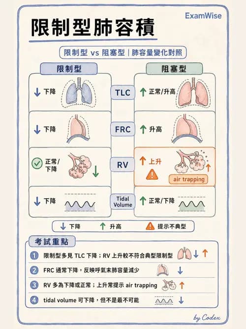 呼吸治療師 - 呼吸功能檢查 - AI 圖文解析預覽