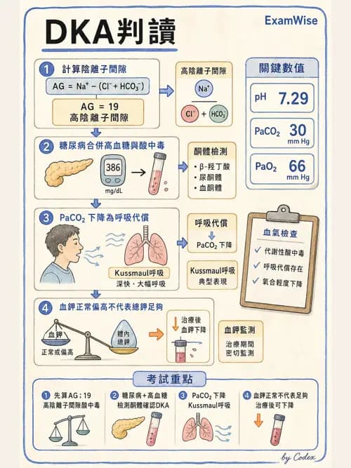 呼吸治療師 - 動脈血液氣體分析與氧合評估 - AI 圖文解析預覽