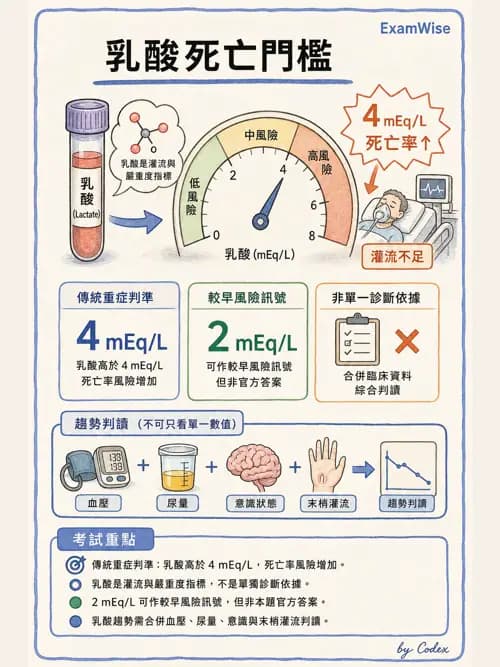 呼吸治療師 - 心血管評估與實驗室檢查 - AI 圖文解析預覽