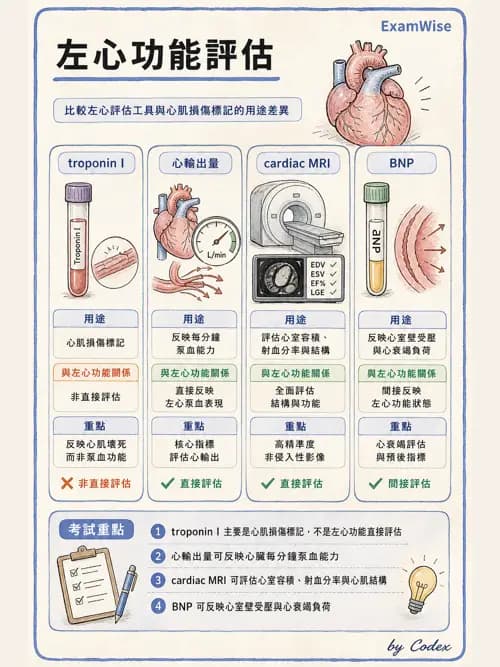 呼吸治療師 - 心血管評估與實驗室檢查 - AI 圖文解析預覽