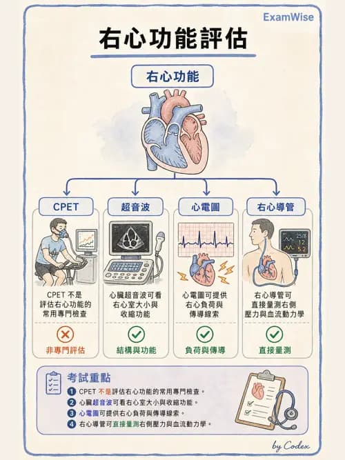 呼吸治療師 - 心血管評估與實驗室檢查 - AI 圖文解析預覽