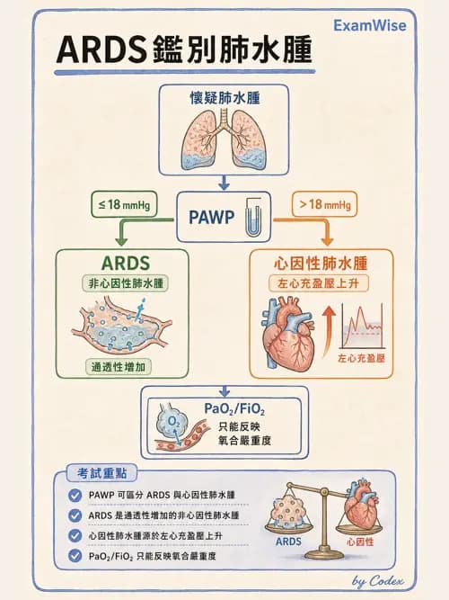 呼吸治療師 - 心血管評估與實驗室檢查 - AI 圖文解析預覽